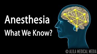 Neuroscience Basics Anesthesia How it Works Animation [upl. by Ambrosine]