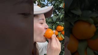 Very fresh eating oranges fruit l Satisfying natural orange reels 2024 food yummy orange life [upl. by Airehc]