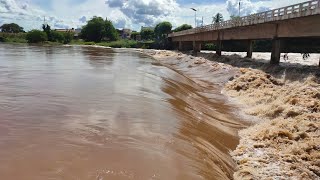 Sensacional Rio Salgado agora tarde em Aurora Ceará águas para açude castanhão 24042022 [upl. by Mcwilliams]