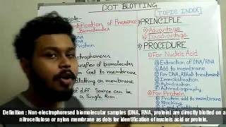 Dot blot technique  principle  procedure and application [upl. by Annirak]