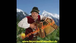 BayerwaldMusiker  Zum Glück gibts Volksmusik  Alpenl Polka [upl. by Craw]