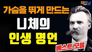 언제 어디서나 듣는 니체의 살 떨리는 인생 조언 마음이 편해지는 책듣고 힐링하기│오디오북 책읽어주는여자 korean audiobook [upl. by Yruok]