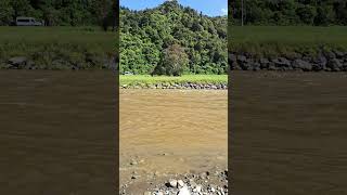 Hutt River Dec 24 [upl. by Tezile]