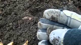 Metal Detecting Wisconsin With The Minelab CTX 3030 Season 3 Episode 16 [upl. by Hali]