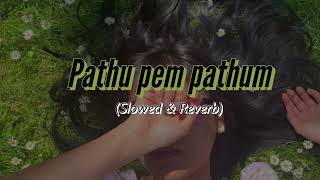 Pathu pem pathum Slowed amp Reverb පැතූ පෙම් පැතුම් [upl. by Llednahs692]