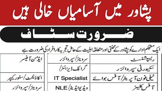 Private Jobs in Peshawar 2024  Receptionist Surveyor Graphic designer Supervisor Video editor [upl. by Seebeck]