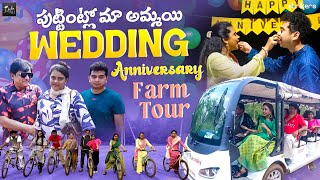 పుట్టింట్లో మా అమ్మాయి Wedding Anniversary  Farm Tour  Zubeda Ali  Zubeda Ali Vlogs  Strikers [upl. by Georgi]