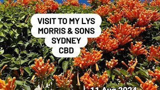 MORRIS amp SONS A Tour of my Local Yarn Shop in Sydney NSW CBD Australia localyarnshop and City Vlog [upl. by Yaeger305]