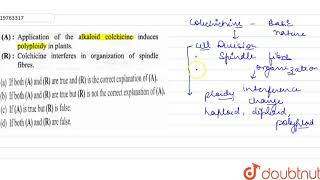 Application of the alkaloid colchicine induces polyploidy in plants Colchicine interferes in org [upl. by Anaigroeg]