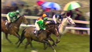 1989 Tote Cheltenham Gold Cup Chase [upl. by Nnagem620]