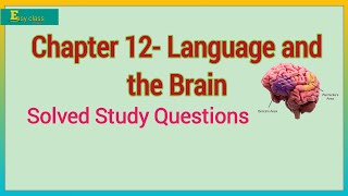 CHAPTER 12 Language amp the brain by G Yule The Study of Language [upl. by Edals877]