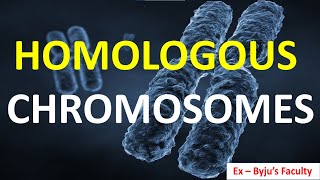 Homologous Chromosomes in Hindi  Sister Chromatids amp Crossing Over  Genetics Class 12 amp 10  NEET [upl. by Delinda]