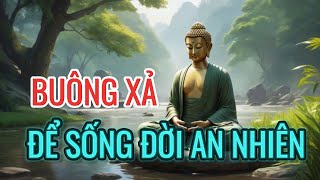 Buông Xả Để Sống Đời An NhiênNóng Giận Là Bản NăngTĩnh Lặng Là Bản Lĩnh [upl. by Ilarrold]