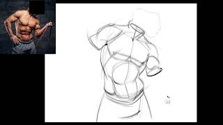 Drawing the Male Torso Tutorial [upl. by Aicela281]