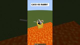 Cats Vs RabbitMinecraftminecraft minecraftshorts skynotplex shorts [upl. by Allit53]