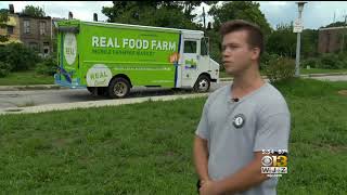 Civic Works AmeriCorps Transforms Lots To Gardens  WJZ [upl. by Ardys248]