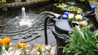 Pressurised Pond Filter Set Up PFC5000  All Pond Solutions [upl. by Krell]