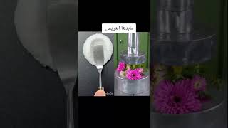 امسيفنانو جيفاراالعلياشتركبلقناةوفعلوالجرسليصلكمكلجديدshortsshortshortvideoshorts [upl. by Holle]