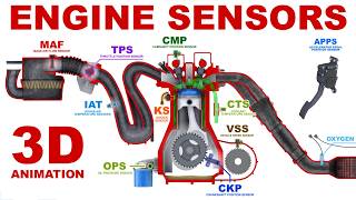 Engine Sensors  Basics 3D Animation [upl. by Mont191]