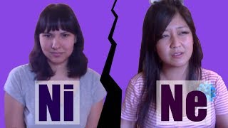 Ni Ne Misunderstandings  INTJ amp INFP Discuss [upl. by Ymorej]