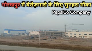 Gorakhpur PepsiCo Company में बेरोज़गारो के लिए सुनहरा मौका  PepsiCo Company Gorakhpur [upl. by Aicire]