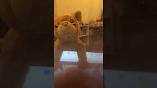 Beanie Baby sings along [upl. by Cindy]