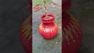 How to grow amp propagate Dracaena🌱Goodluck plant 🌱Cordyline fruticosashortsyoutubedracaenaplant [upl. by Buckler]