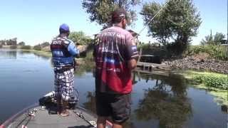 Punchin at the Cal Delta with Jared Lintner amp Ish Monroe  Part 1  Tackle Warehouse VLOG 206 [upl. by Aikimat49]