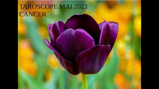 Taroscope Mai 2023 Cancer [upl. by Branden]