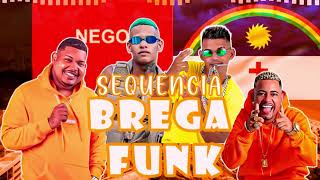 SEQUENCIA BREGA FUNK 2024  OS MELHORES LANÇAMENTOS [upl. by Navannod]