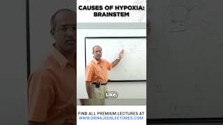 Causes Of Hypoxia Brainstem drnajeeb drnajeeblectures shortvideo [upl. by Olmstead]