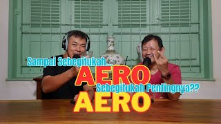 Yang Penting AERO [upl. by Pillihp]