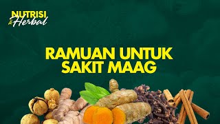 8 Bahan Alami Ampuh Menyembuhkan Sakit Maag Wajib Coba  Nutrisi amp Herbal 2 [upl. by Reddin]