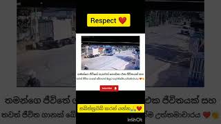 මිනිස්සු බනින බස් කාරයෙක්ම තමයි මේත් 😍❤️ automobile shortvideos new [upl. by Helbona774]