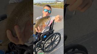 Catching gamefish in a wheelchair youtubeshorts onefishtwofishredfishbluefish youtubeshorts [upl. by Lavinia]