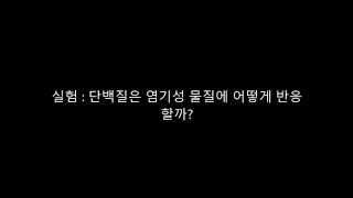 머리카락을 염기성 물질에 넣으면 일어나는 일 염기성 단백질 반응 실험 [upl. by Llenhoj]