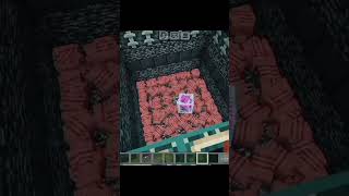 1 End crystals VS 100 Armadillos minecraft memes shorts anime trollface KillerBoy1275 [upl. by Alolomo449]