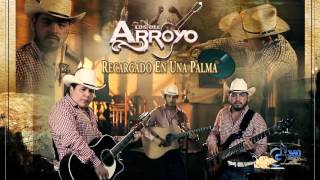 Los Del Arroyo quotRecargado en una Palmaquot En Vivo [upl. by Saunder949]