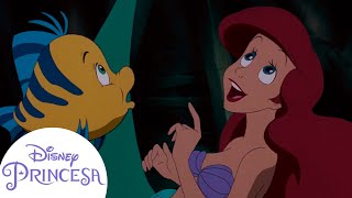 Los mejores momentos de Ariel y sus amigos  Disney Princesa [upl. by Dowell]