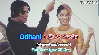 Odhani odh ke nachu slowed and reverb Alka Yagnik hindi old songs  Tere Naam [upl. by Paten294]