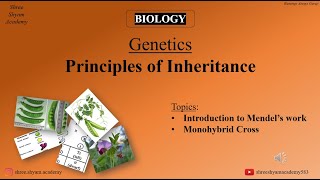 Monohybrid Cross  Principles of Inheritance  genetics  biology  Class 12th [upl. by Anilatsyrc976]