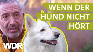 Dem Hund konsequent Grenzen aufzeigen  Hunde verstehen  S03E03  WDR [upl. by Edik]