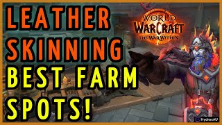 Skinning Guide Farm Stormcharged Leather amp Gloom Chitin Fast  Best WoW Farming Spots [upl. by Ellehcan]