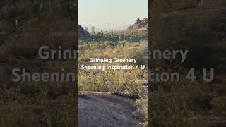 Grinning Greenery Sheening Inspiration 4 U [upl. by Scotty]