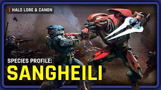 The Lore and History of the Sangheili  Halo Species Profile [upl. by Odnalref16]