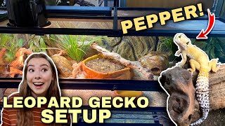 Setting Up A NEW Leopard Gecko Enclosure  Upgrade For Pepper [upl. by Nagud]