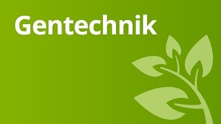 Gentechnisch veränderte Lebensmittel  Biologie  Genetik und Entwicklungsbiologie [upl. by Akemaj451]