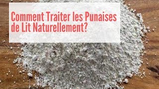 Comment se Débarrasser des Punaises de Lit Naturellement  Comment se Débarrasser des Puces de Lit [upl. by Drofwarc]