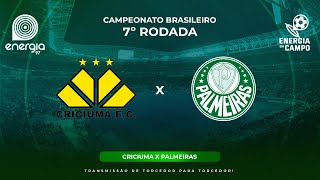 CRICIUMA X PALMEIRAS  02062024  BRASILEIRÃO  AO VIVO [upl. by Aubin]