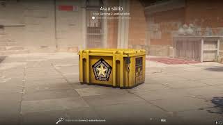 DAY 270 OPENING CS2 CASES UNTIL I GET GOLD [upl. by Revorg370]